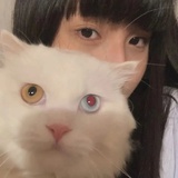 太爱吃了吧