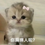 你呢只牙烂咗喇