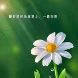 哄哄