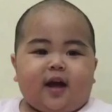 蛋蛋宝