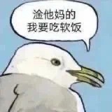 柬埔寨的狗