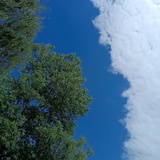 野风吹