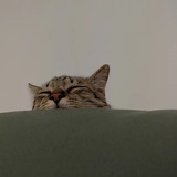 。