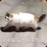 吃什么饭不是饭