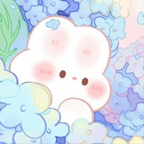 流浪兔兔星球♡