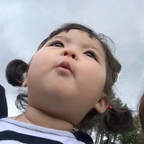 朴振英