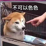 天天撕日历