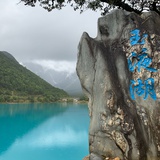 牛市股主任