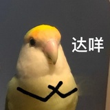 我要睡觉