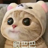 突破次元壁