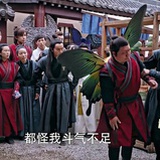 野鸽儿