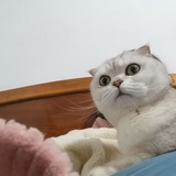 在座都是小仙女