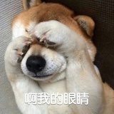 本宝宝暂时没想