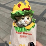 专业养猪人