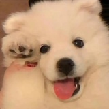 微笑天使耶耶