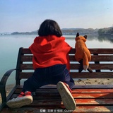 风吹随他去