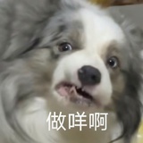 CushIon_Fries