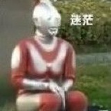 栎树
