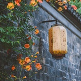 其他没了