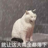 西茗