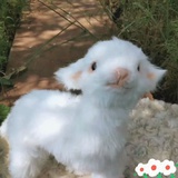 骂我去做题