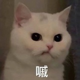 限定四月