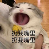 大金链子小熊猫