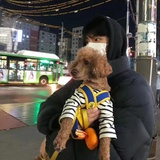 菜狗篮子
