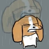 阿狗不是我