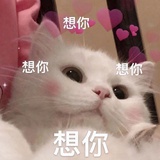 蔚蔚子