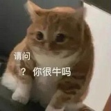 冰水（钮钴禄）