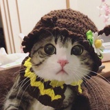 静待花开中