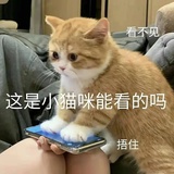 最好的安排
