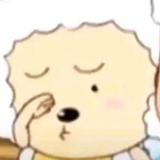 nscyvajkagu