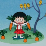 伍拾百