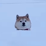 Agonie