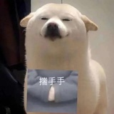 INTO1-假粉