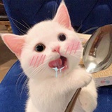 工胡扁子