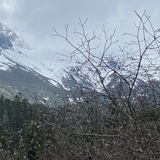 小可爱
