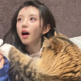 teerak酱