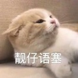 晨曦