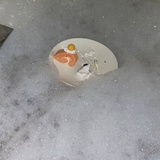 术慢