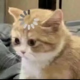 蒜了🧄