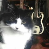 二哈哈哈哈哈哈