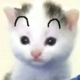 Nnymph