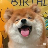 屋大维