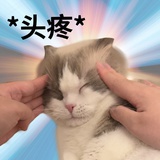 桂花龙井冰拿铁