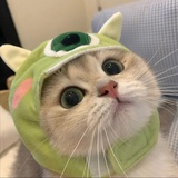 栗子君