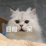 一之濑咲夜