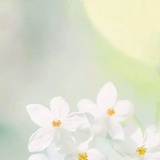 春暖